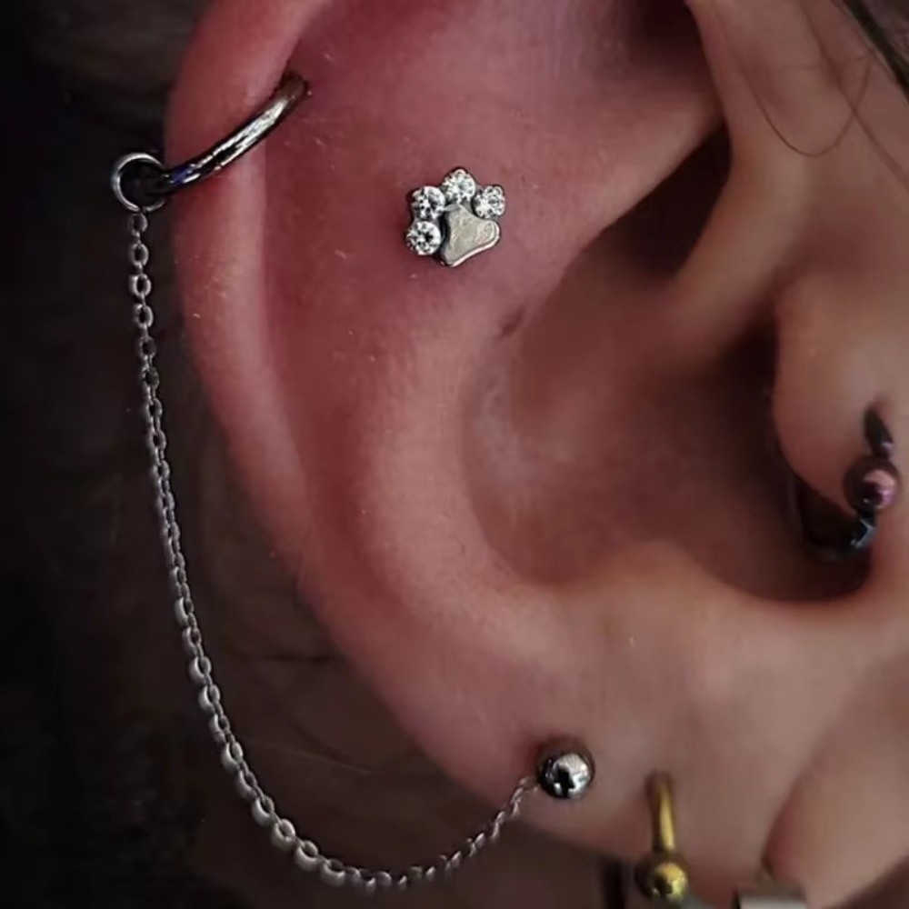 Corrente de Titânio para Nariz - Body Jewelry Ear avaliação e preço